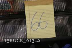 15BUCK_01312 proof