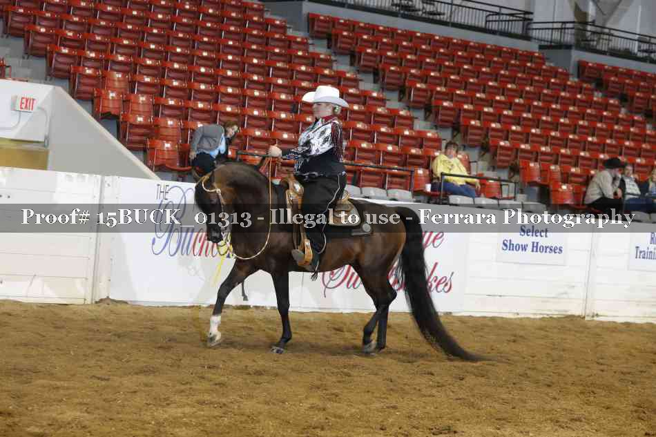Proof 15BUCK_01313