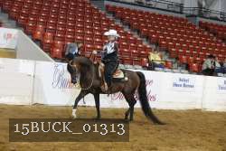 15BUCK_01313 proof