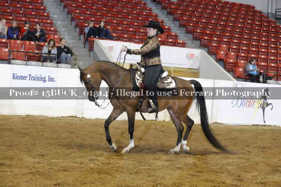 Proof 15BUCK_01314