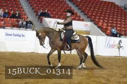 15BUCK_01314 proof