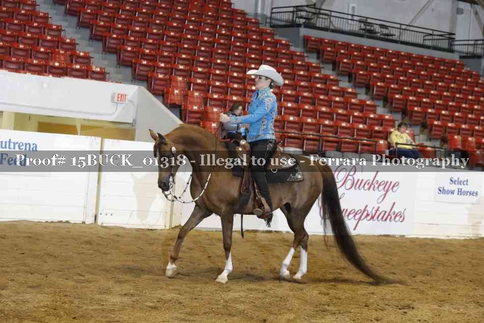 Proof 15BUCK_01318