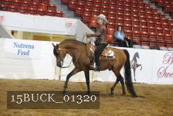 15BUCK_01320 proof