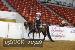 15BUCK_01328 proof