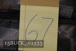 15BUCK_01333 proof