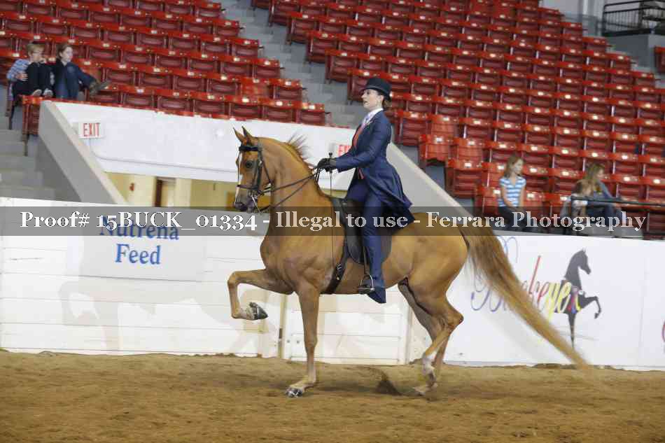 Proof 15BUCK_01334