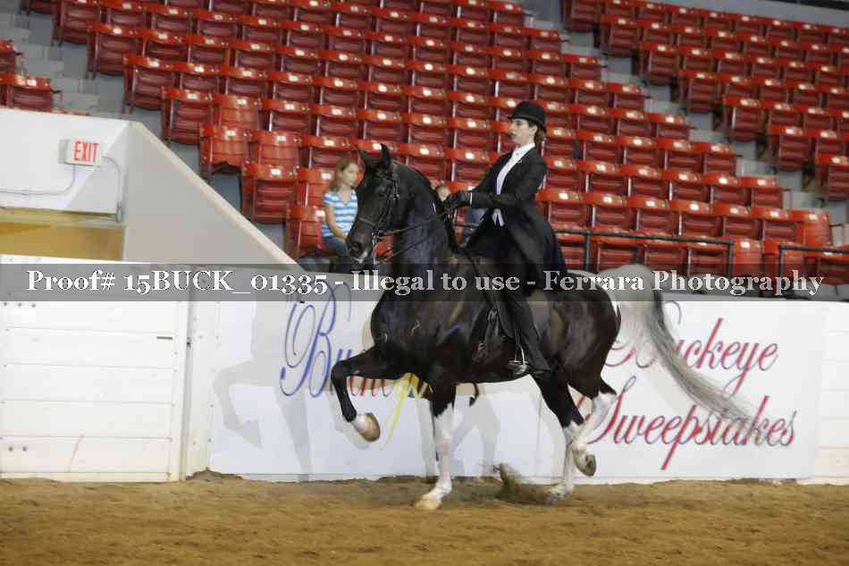 Proof 15BUCK_01335