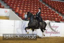 15BUCK_01335 proof