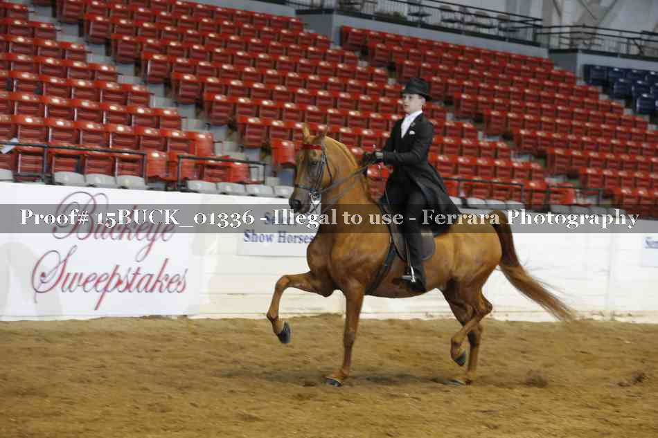 Proof 15BUCK_01336