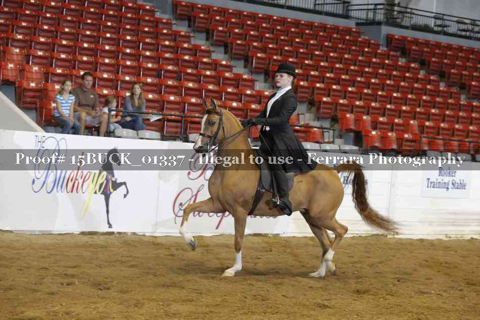 Proof 15BUCK_01337