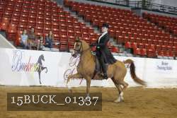 15BUCK_01337 proof