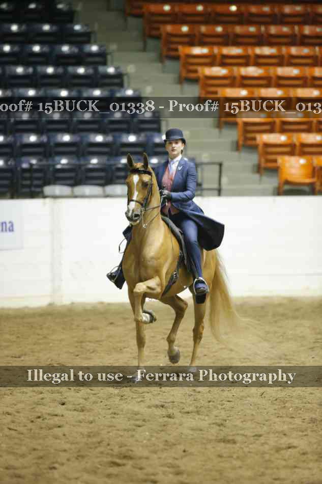Proof 15BUCK_01338