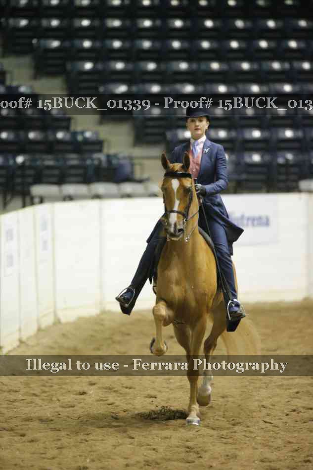 Proof 15BUCK_01339