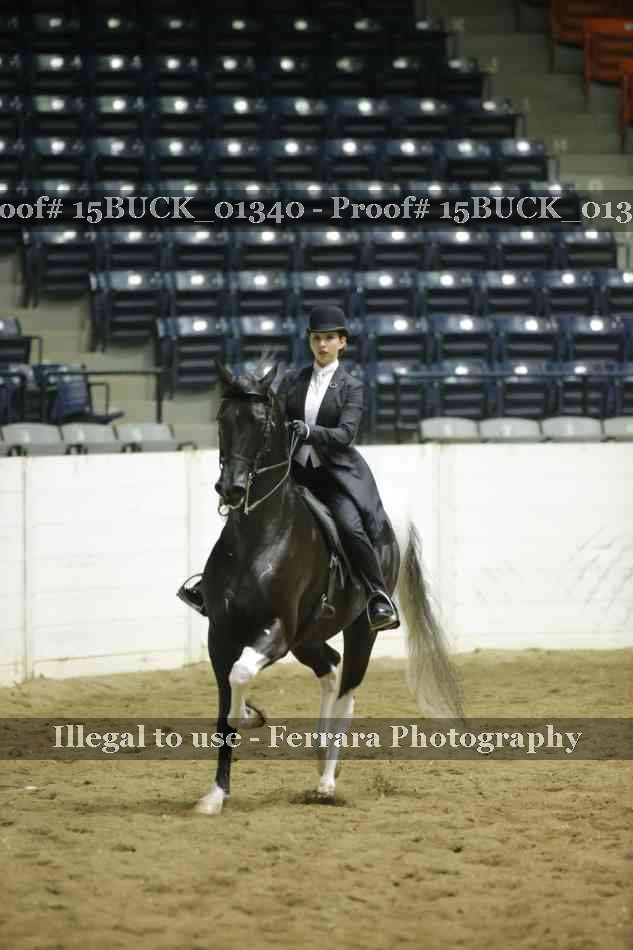 Proof 15BUCK_01340