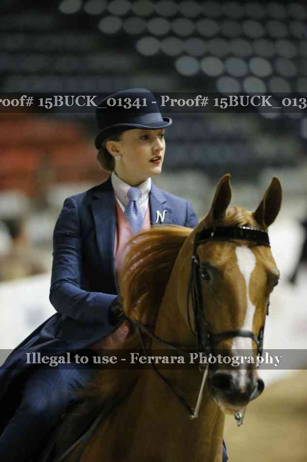 Proof 15BUCK_01341