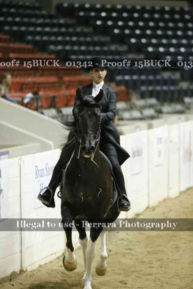 Proof 15BUCK_01342