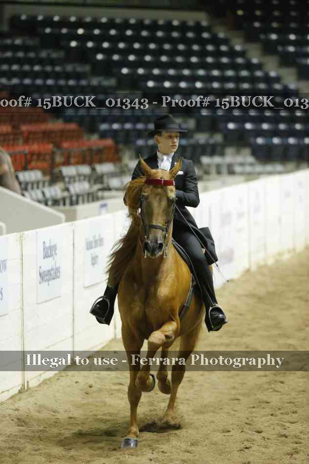 Proof 15BUCK_01343