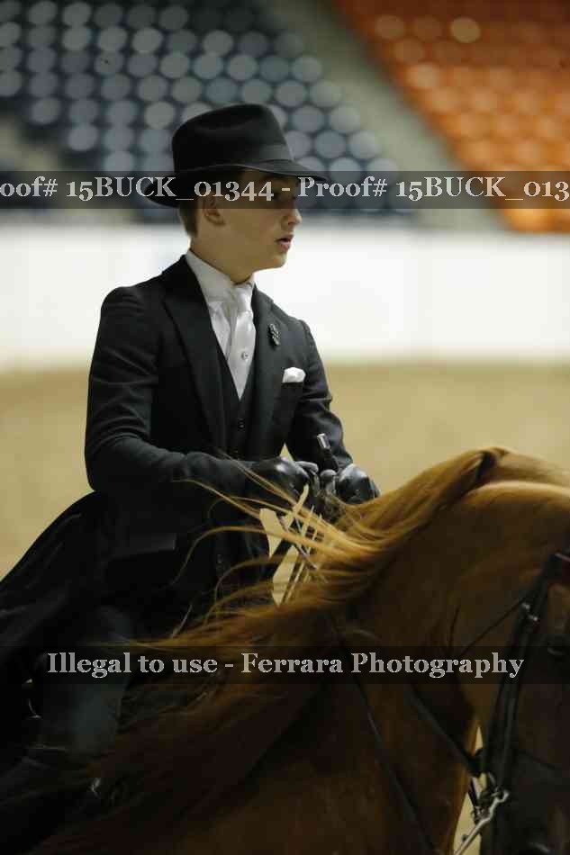 Proof 15BUCK_01344