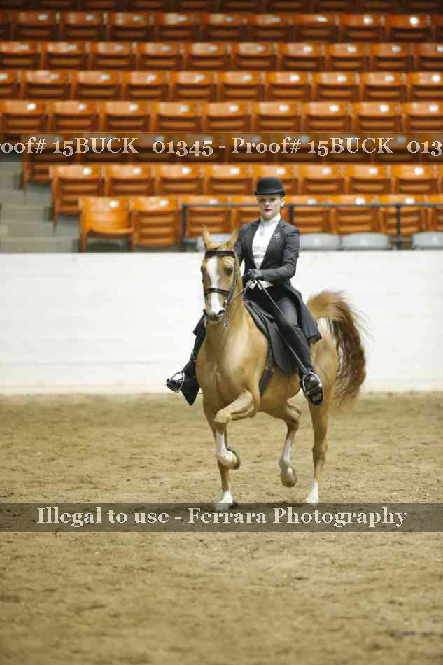 Proof 15BUCK_01345