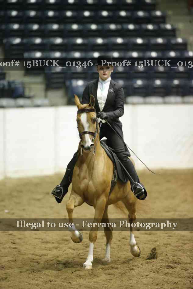 Proof 15BUCK_01346
