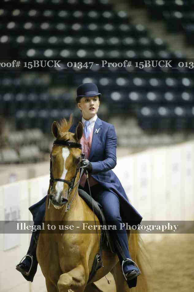 Proof 15BUCK_01347