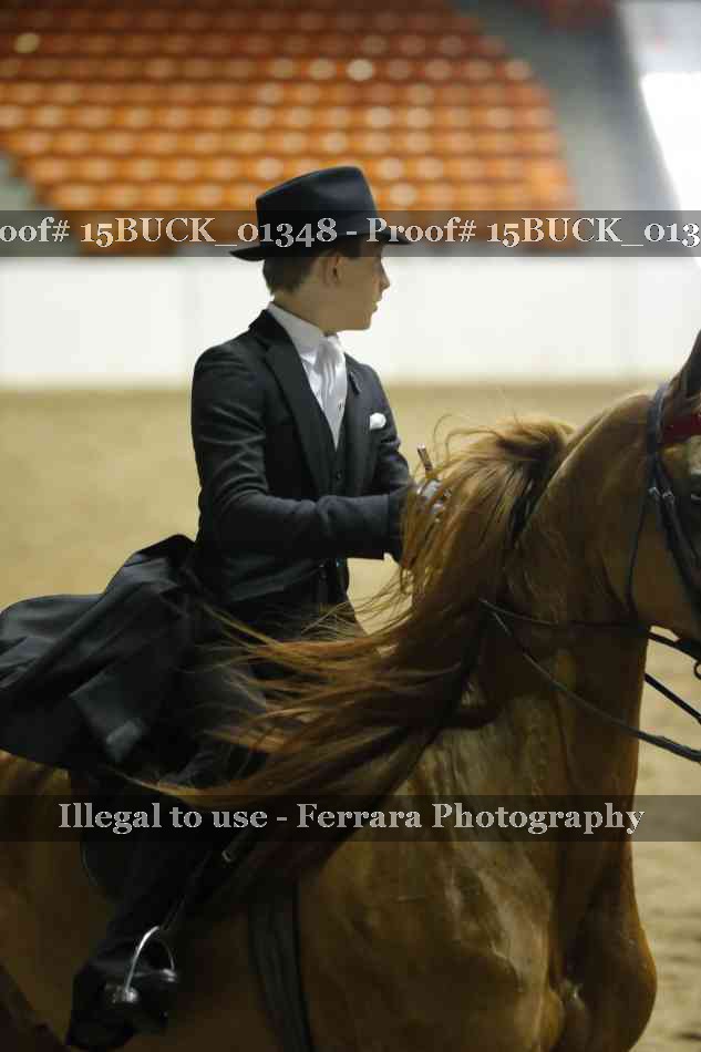 Proof 15BUCK_01348