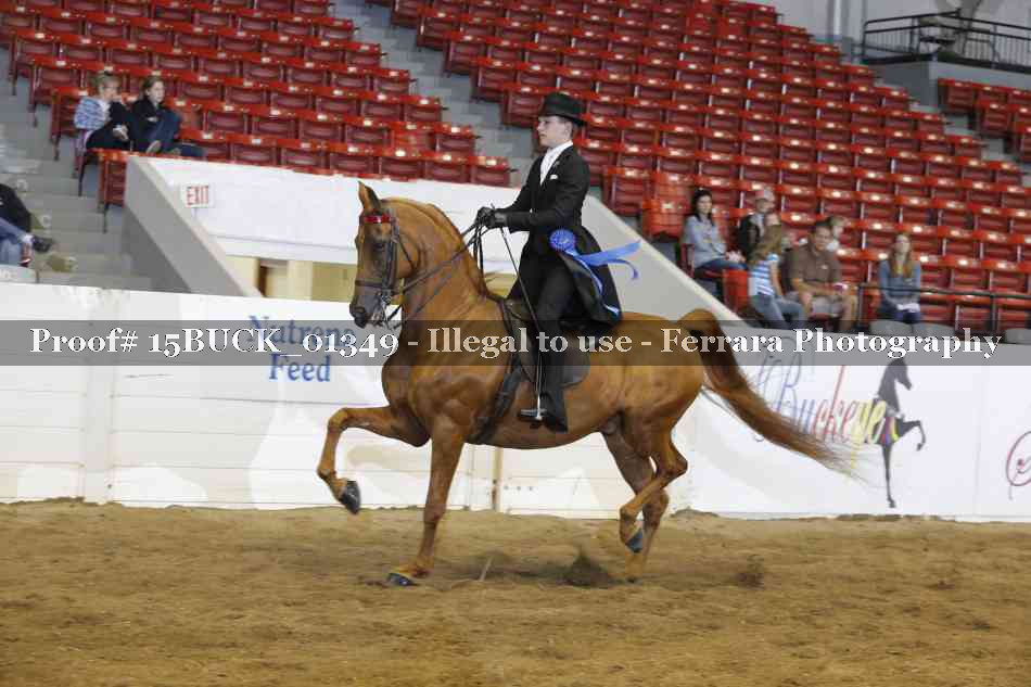 Proof 15BUCK_01349