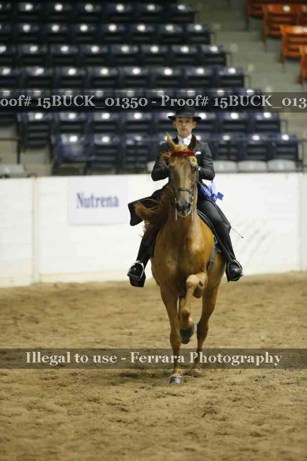 Proof 15BUCK_01350