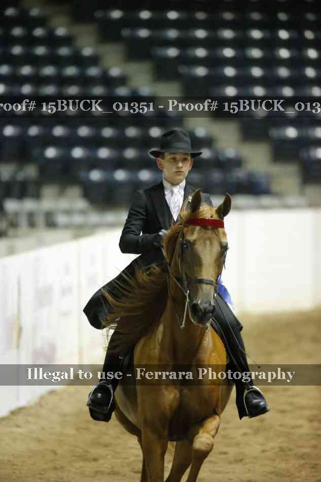 Proof 15BUCK_01351