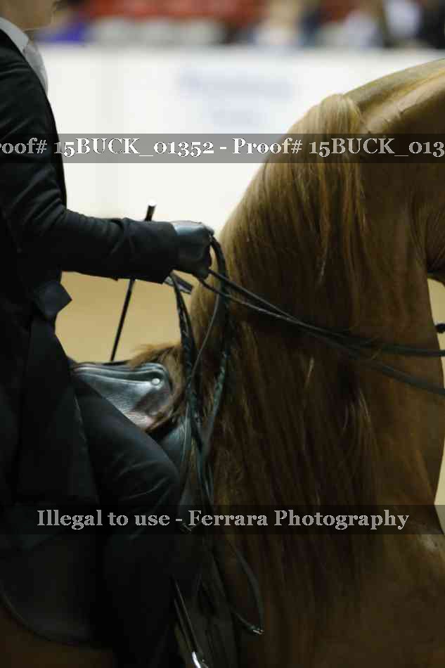 Proof 15BUCK_01352