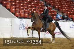15BUCK_01354 proof