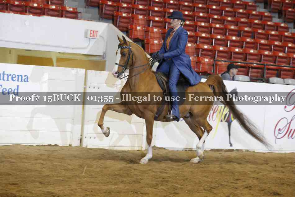 Proof 15BUCK_01355