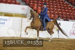 15BUCK_01355 proof
