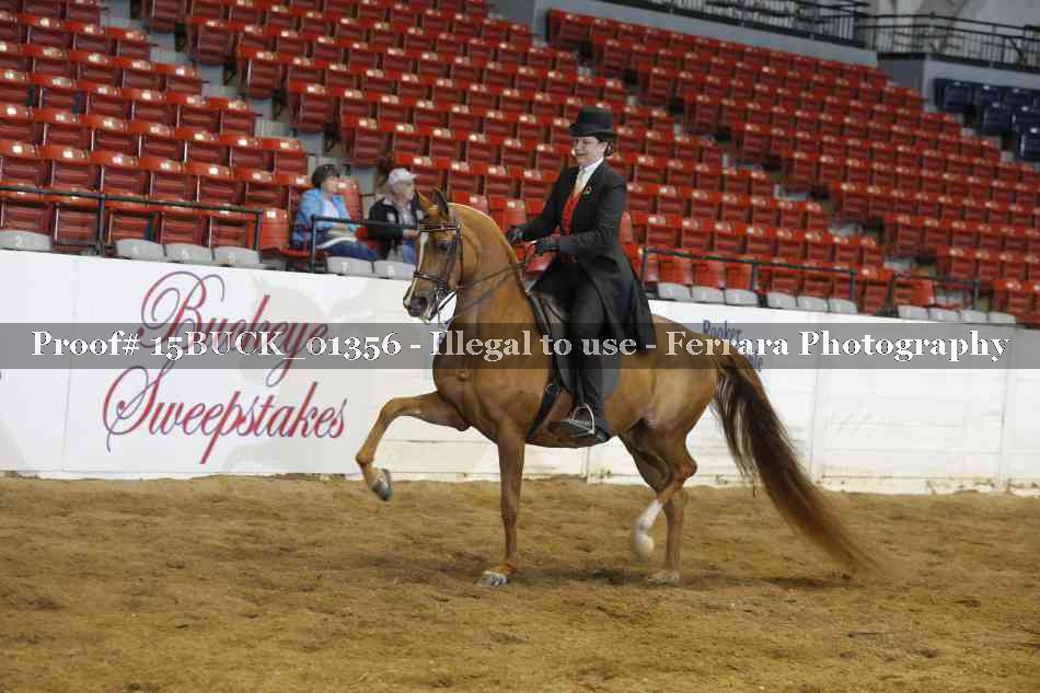 Proof 15BUCK_01356