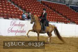 15BUCK_01356 proof