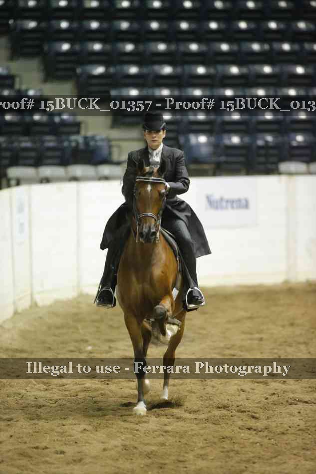 Proof 15BUCK_01357