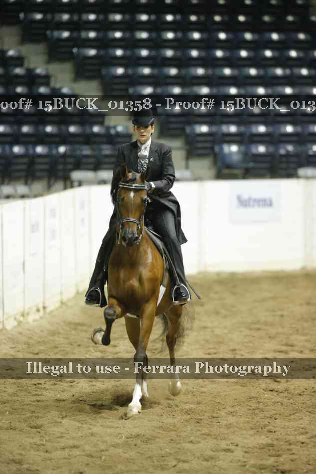 Proof 15BUCK_01358