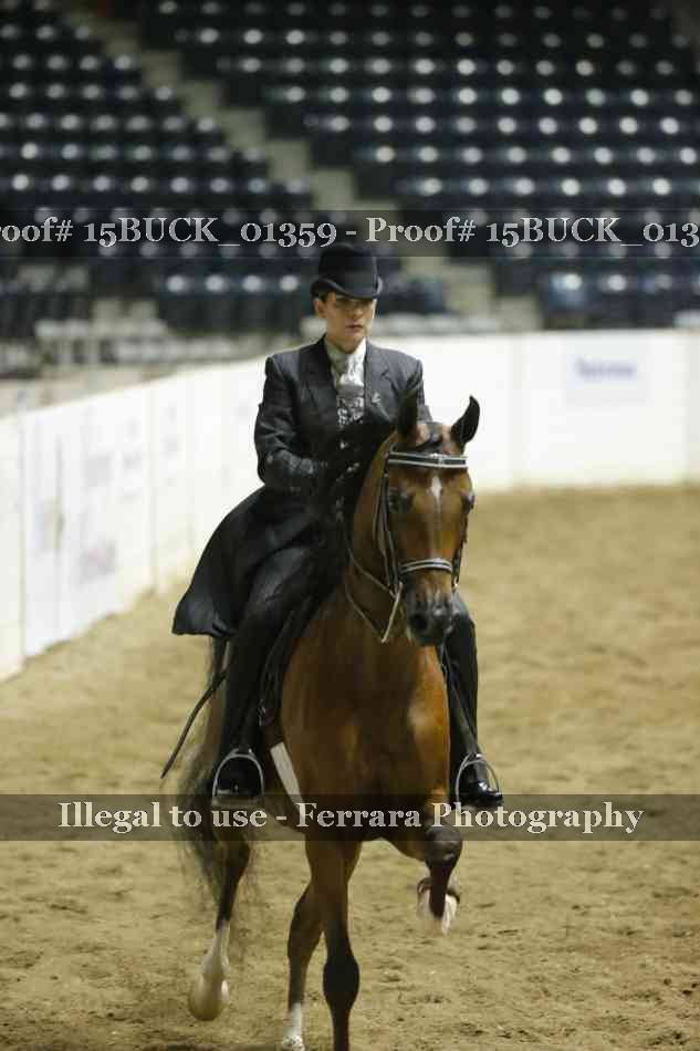 Proof 15BUCK_01359