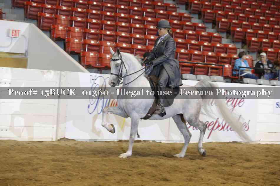 Proof 15BUCK_01360