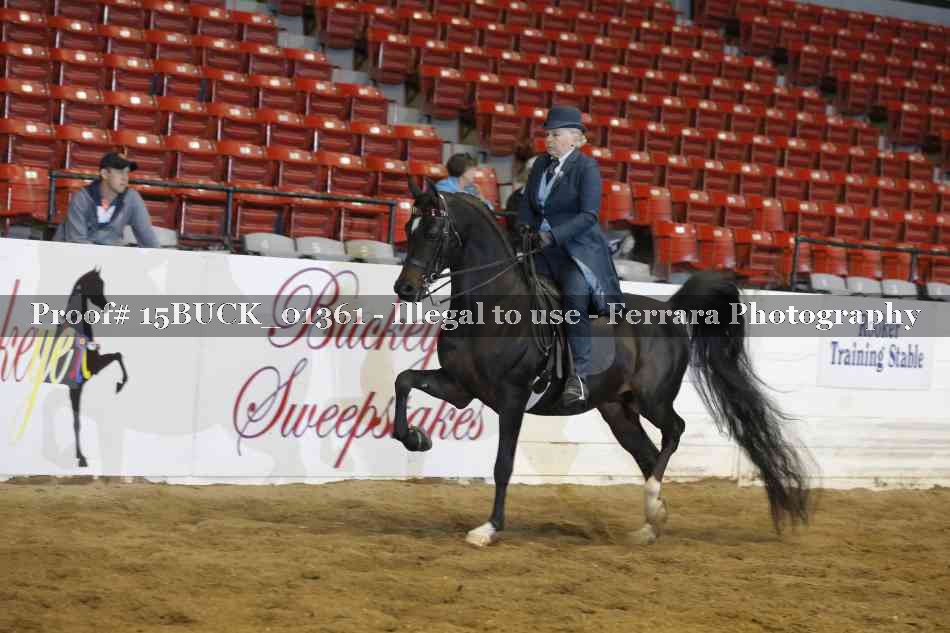Proof 15BUCK_01361