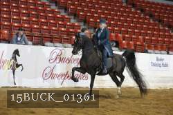15BUCK_01361 proof