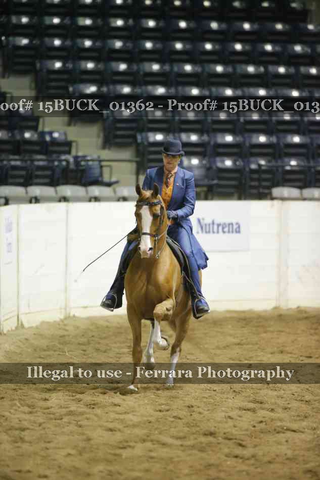 Proof 15BUCK_01362