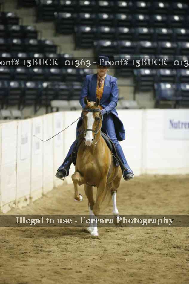 Proof 15BUCK_01363