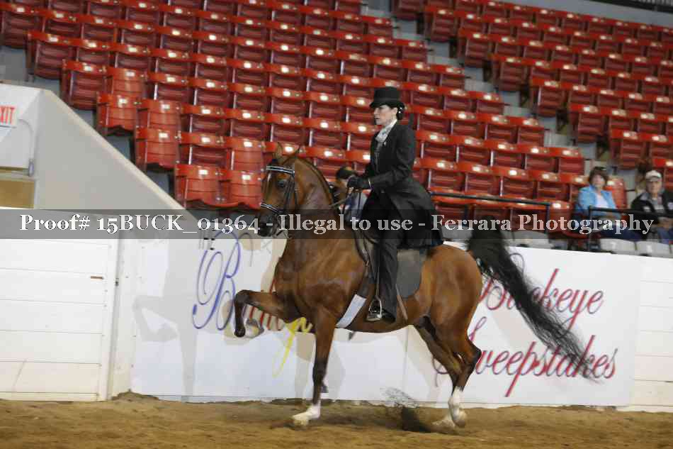 Proof 15BUCK_01364