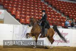 15BUCK_01364 proof
