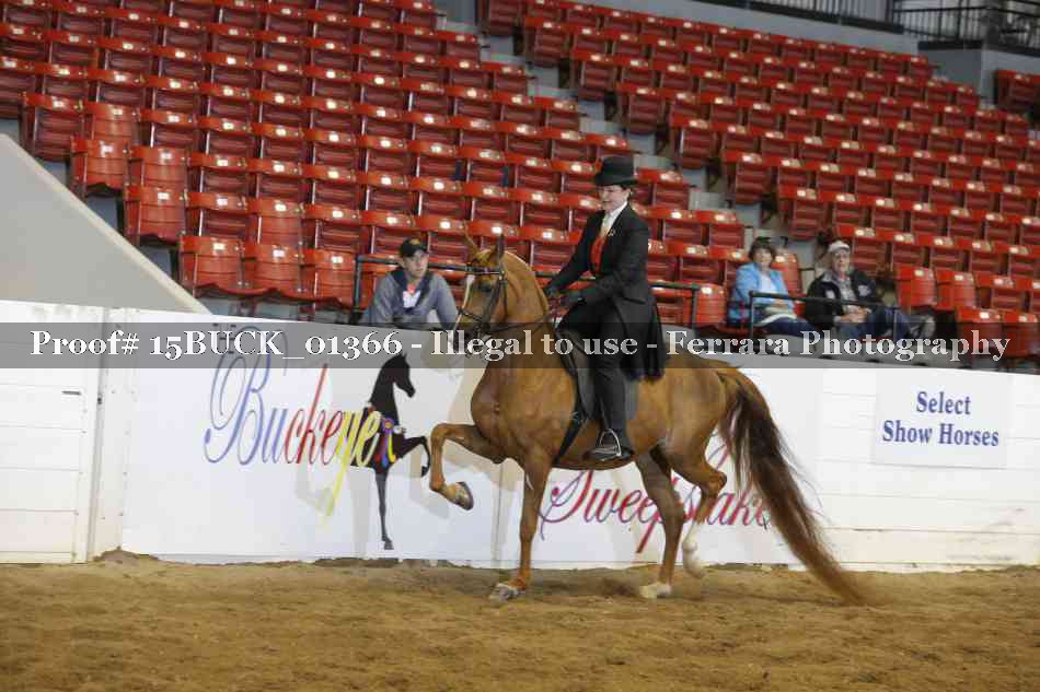 Proof 15BUCK_01366