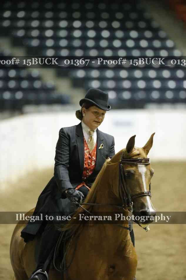 Proof 15BUCK_01367