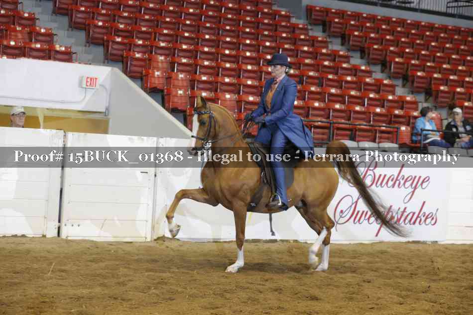 Proof 15BUCK_01368