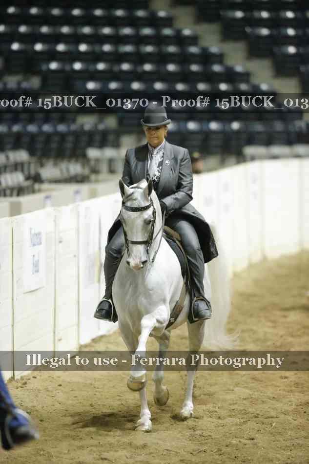 Proof 15BUCK_01370