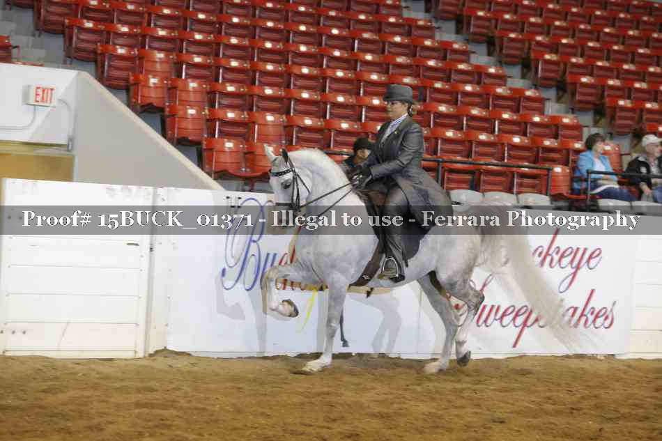 Proof 15BUCK_01371
